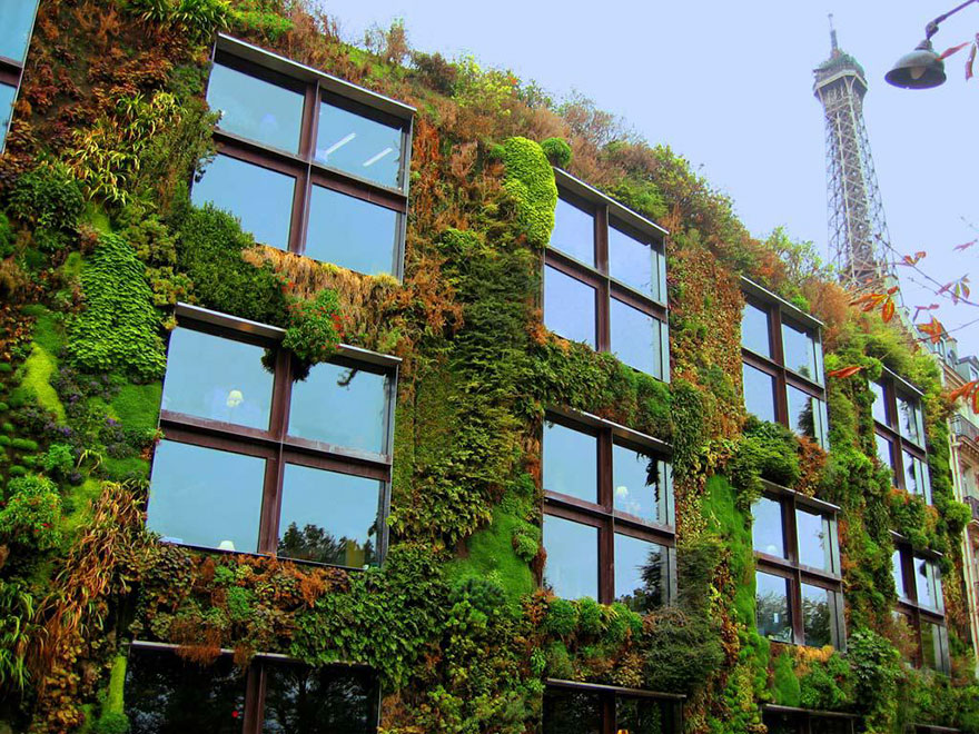 Paris' New Law Allows Anyone To Plant Urban Gardens