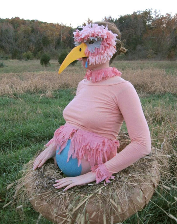 Mama Bird Sitting On Egg Costume