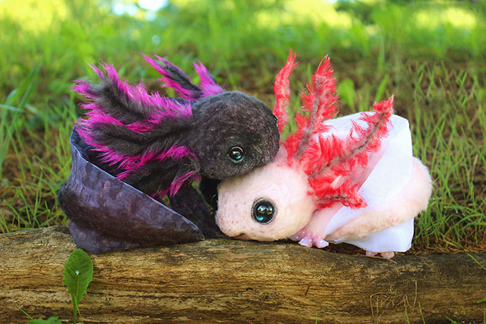 Realistic Baby Animals & Dragons That I Create For People To Adopt
