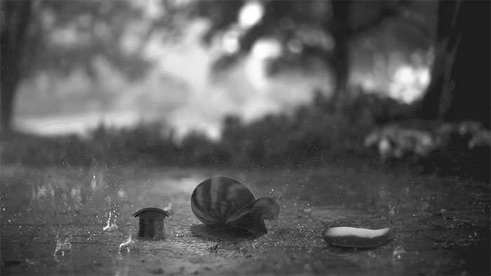 snail-eating-cucumber-photoshop-battle-4