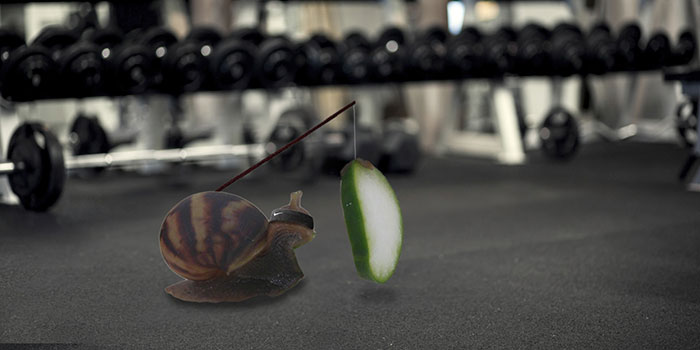 snail-eating-cucumber-photoshop-battle-5