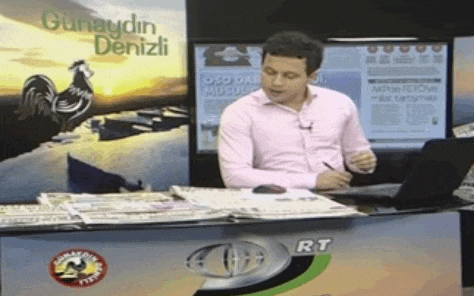 Stray Cat Walks Into Live News Broadcast, Presenter's Reaction Is Perfect