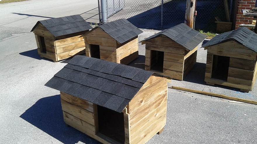 students-make-cat-and-dog-houses-jacksonville-3