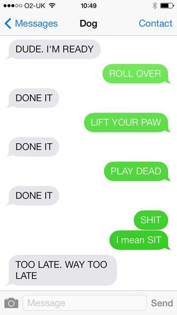 20 Funniest “texts From Dogs” Will Definitely Want You To Talk With Your Dog