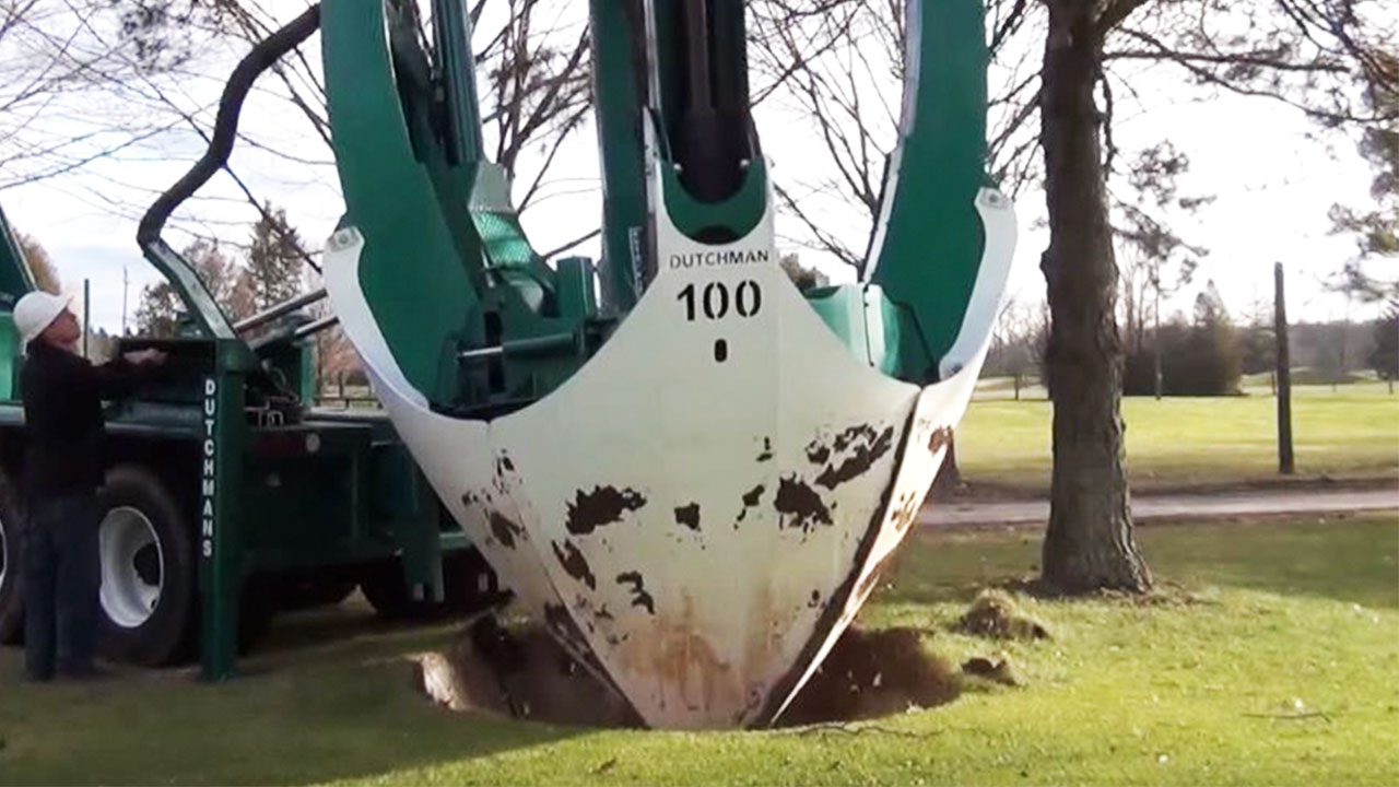 This Machine Moves Trees So You Don't Have To Cut Them Down