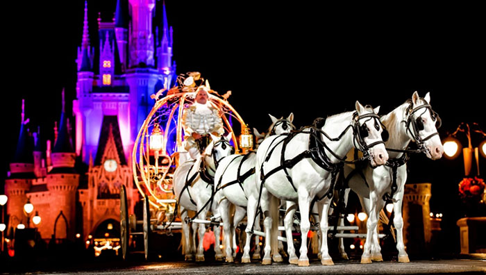 You Can Now Get Married At Disney World At Night And Have The Entire Park To Yourself