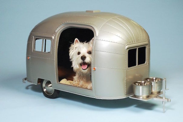 Take Your Pets Camping In These Animal Sized Camper Vans