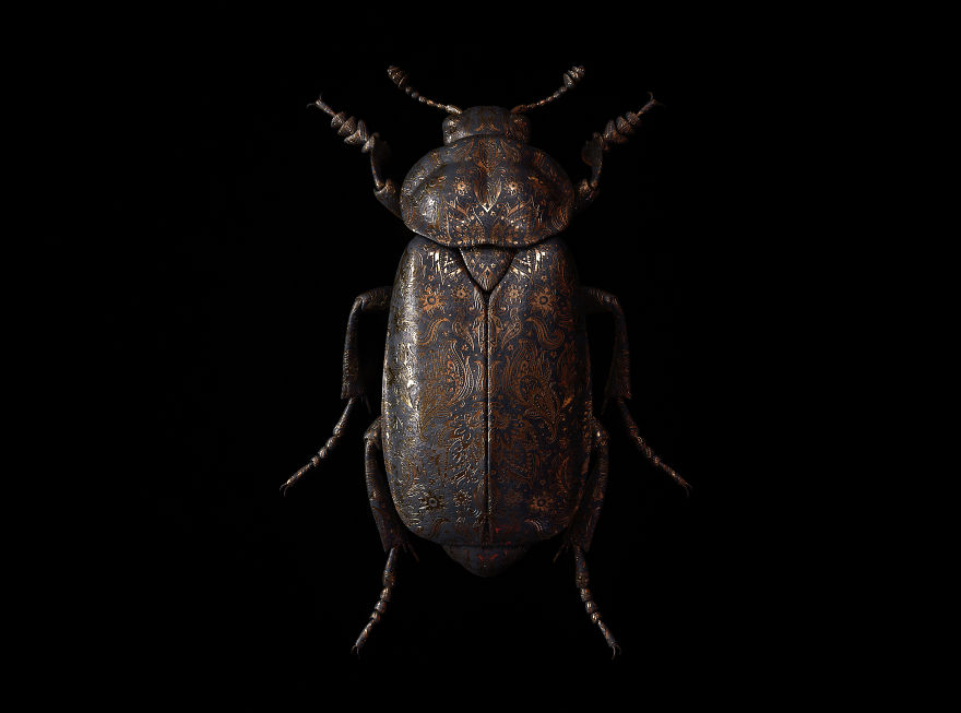 Engraved Entomology By Billelis