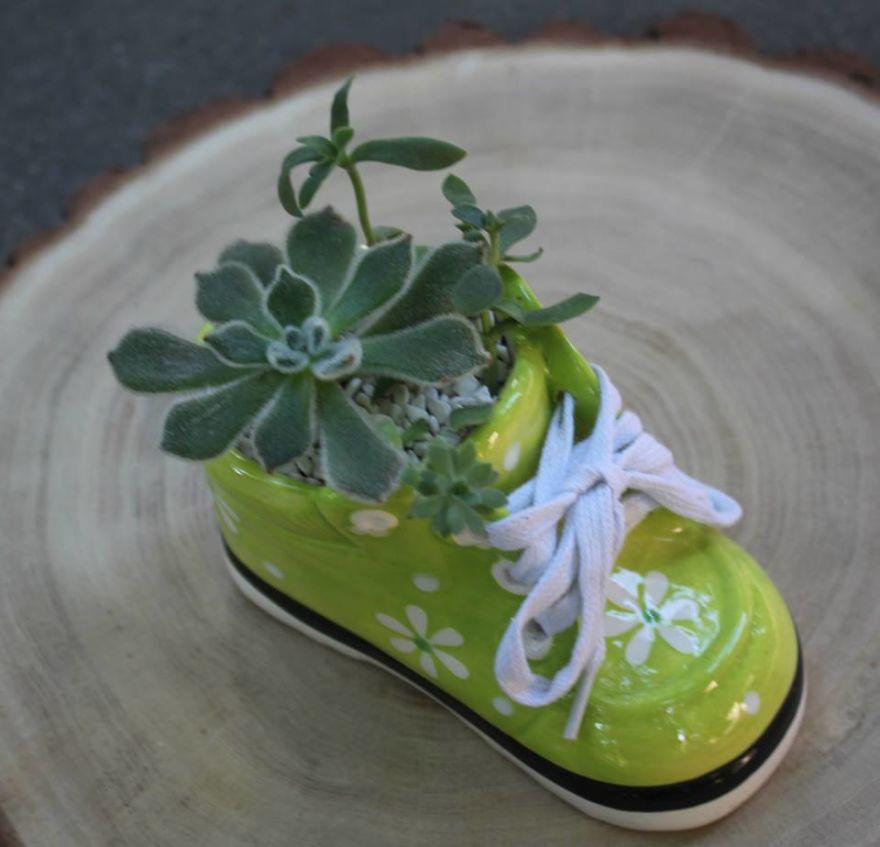 To Cute Baby Shoes