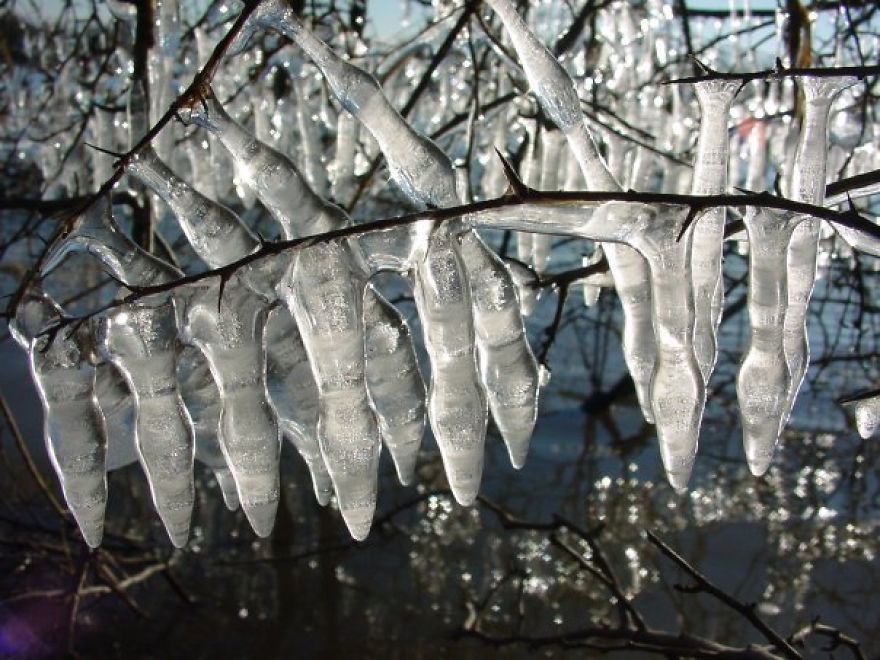 Crystal Bells Of Ice By Jean Renard