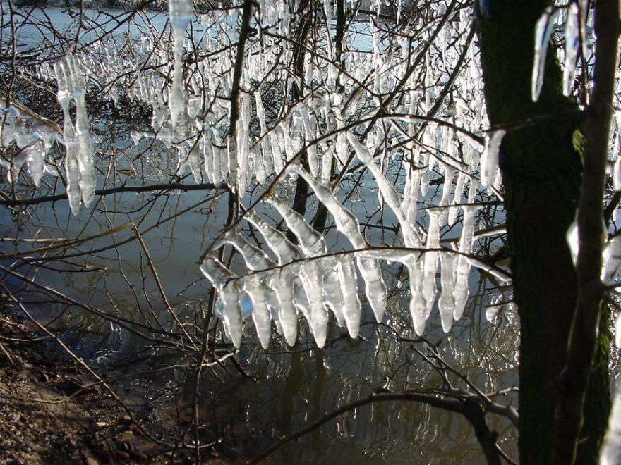 Crystal Bells Of Ice By Jean Renard