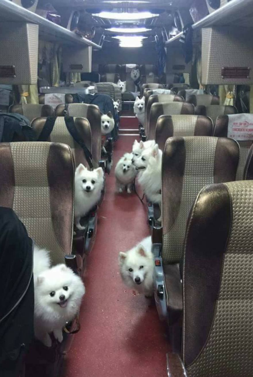 I've Found The Bus To Heaven