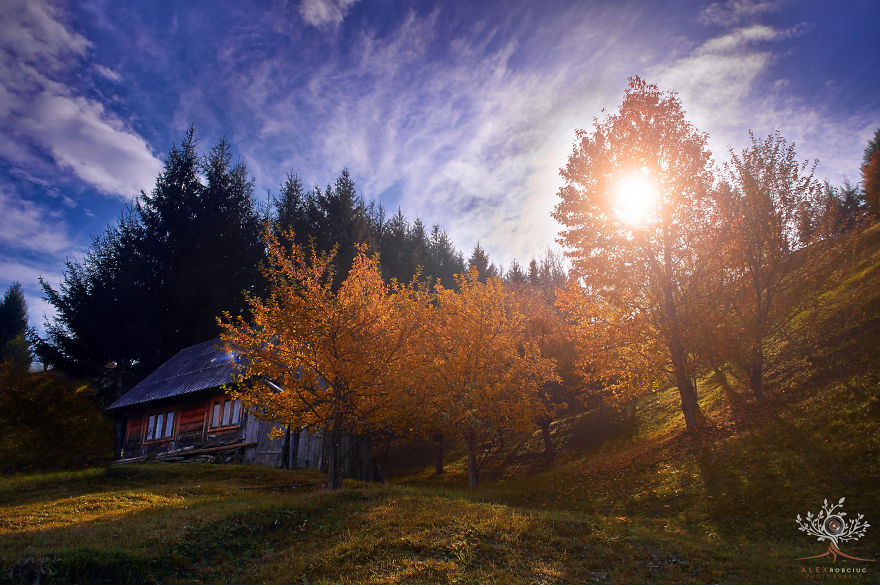 I Captured Fairytale-Like Autumn In Romania With $250 Camera To Show You Don't Need Expensive Gear