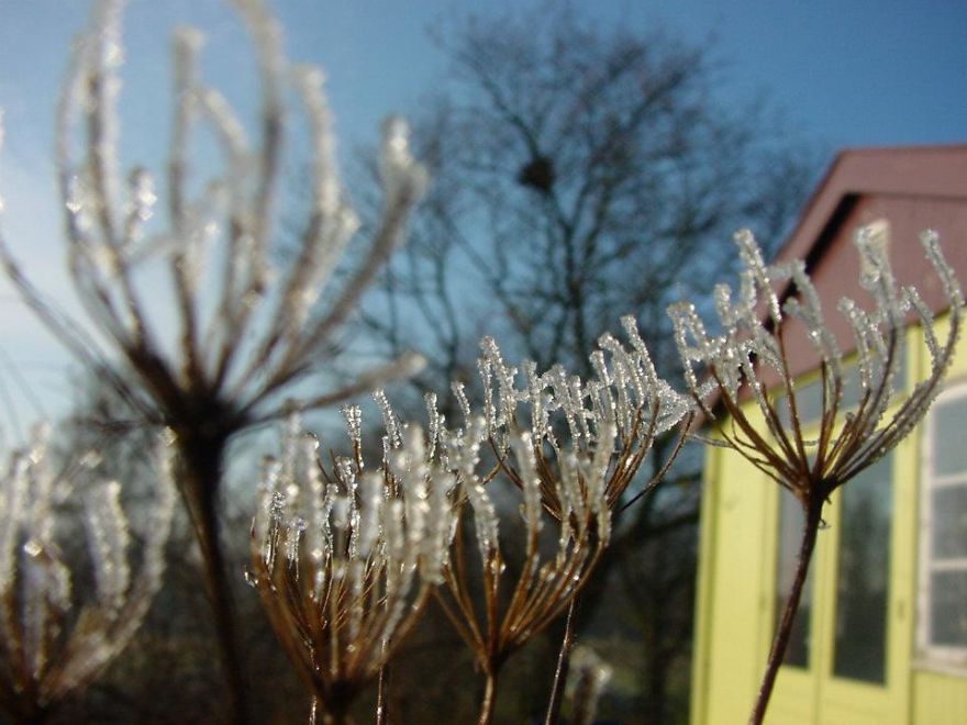 Crystal Bells Of Ice By Jean Renard