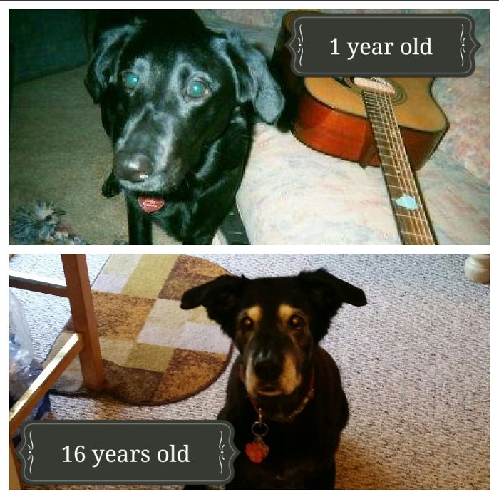 My Gypsy, Almost 17 Years Later, And Still Kickin'!
