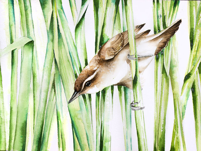 Bird In Reeds