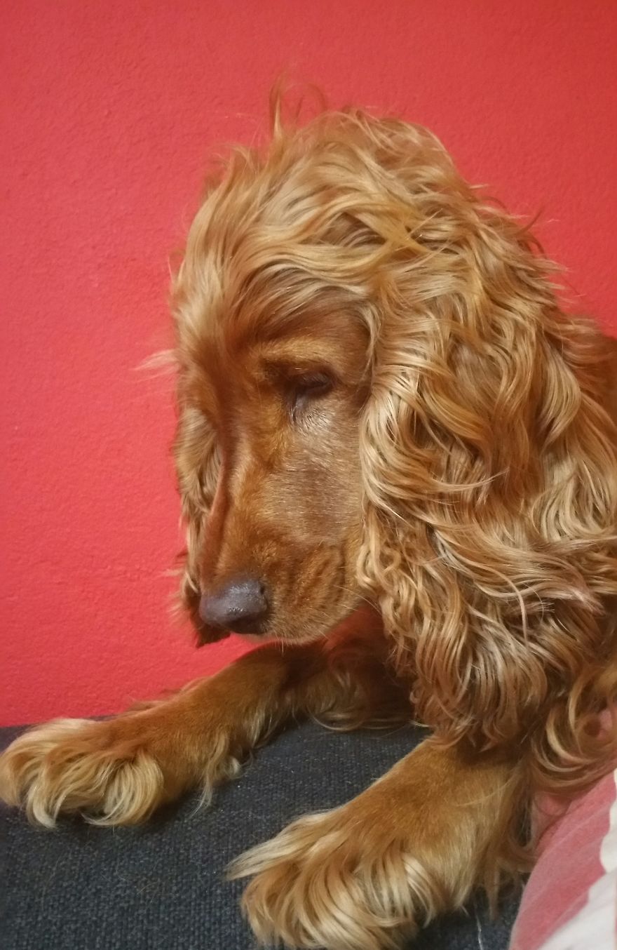 My Princess