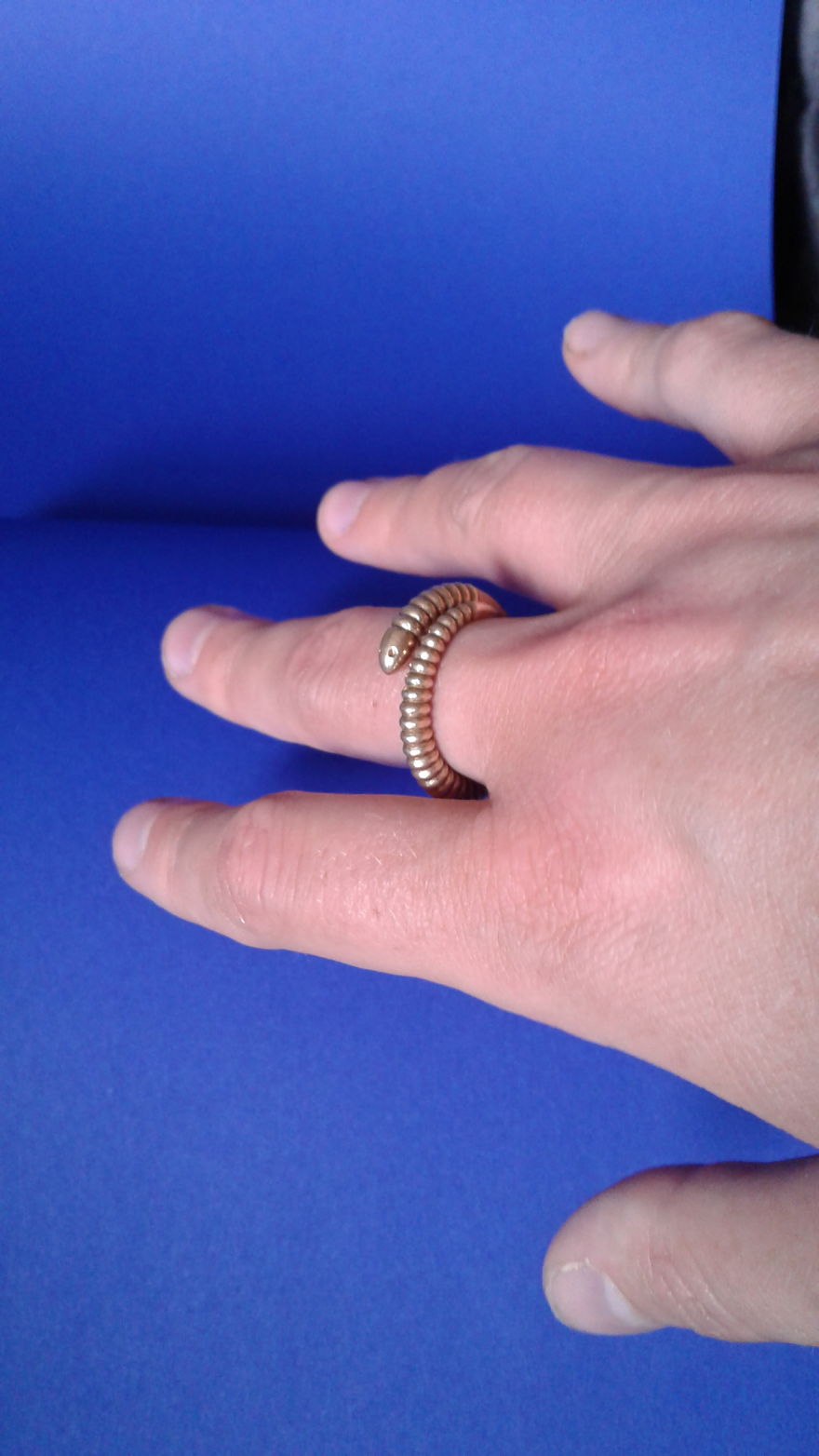 My 3d Printed Jewellery Collection Tells The Story Of A Lonely Worm Who Meets His Soil Mate...