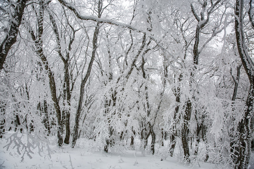 Winter Is Coming