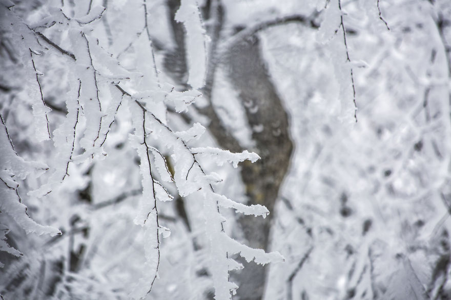 Winter Is Coming