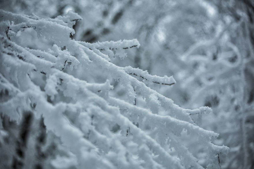 Winter Is Coming