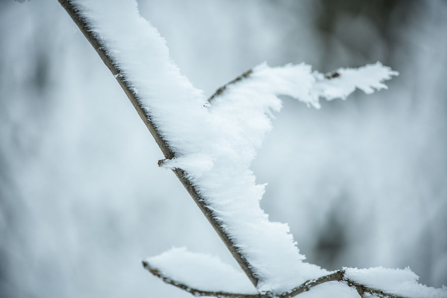 Winter Is Coming