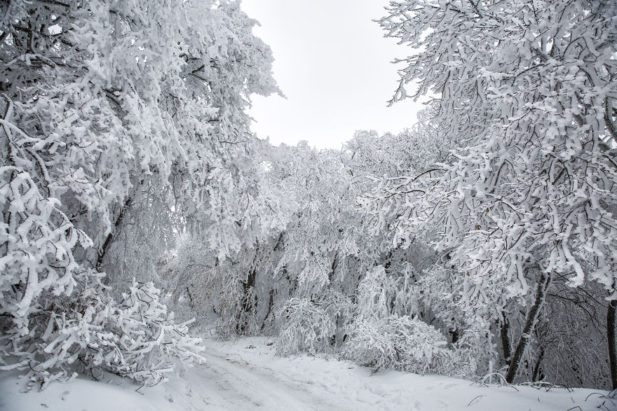 Winter Is Coming