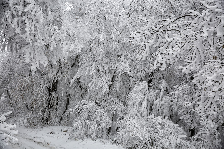 Winter Is Coming
