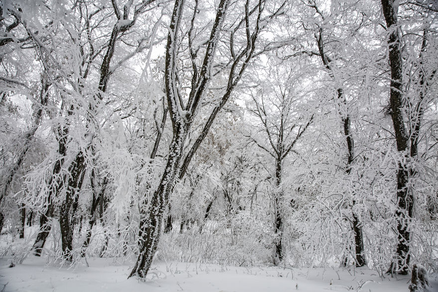 Winter Is Coming