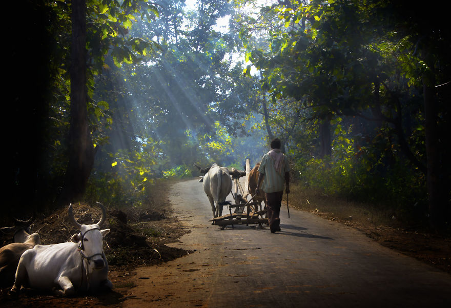 I Spent 2 Years Capturing The Hidden Beauty Of Indian Tribal Village