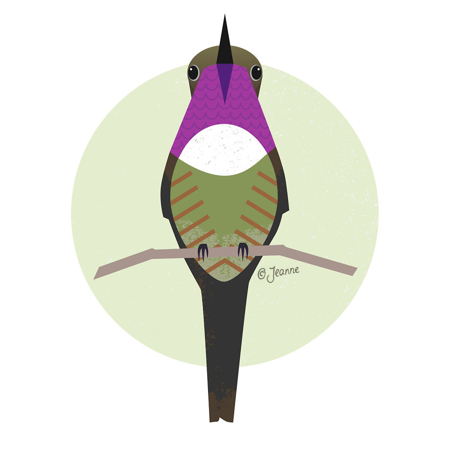 300 Hummingbirds And So Many Different Ways To Illustrate Them