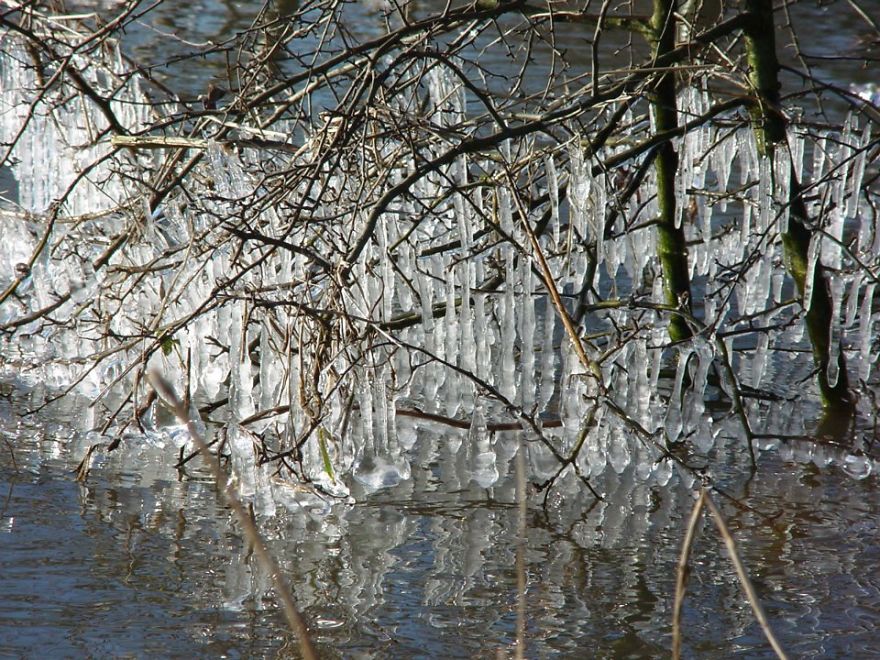 Crystal Bells Of Ice By Jean Renard