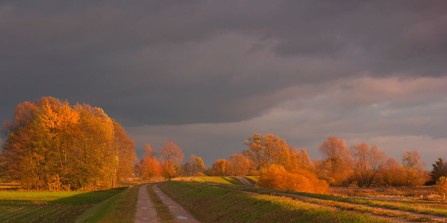 I Photographed Golden Autumn In Poland