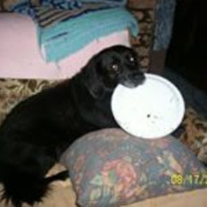 joann_zaffino avatar