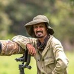 shibunairphotography avatar