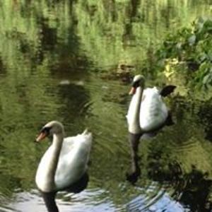 miloudecastellane avatar