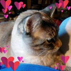 rachel_earlywine avatar