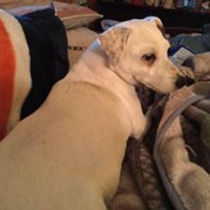 phyllishafer897 avatar