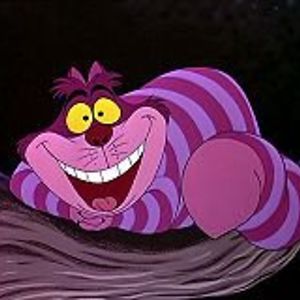 hubbardhelena avatar