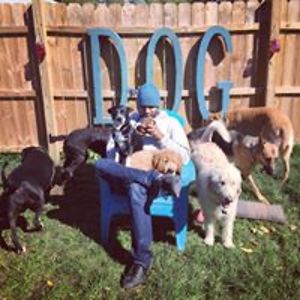 aravindkumarj avatar