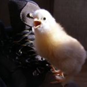 christopher28fair avatar