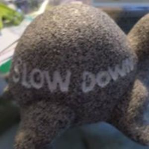 arinakwamzagwon avatar