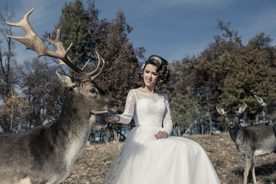 Fairytale Bride And Groom Photos In Wildlife