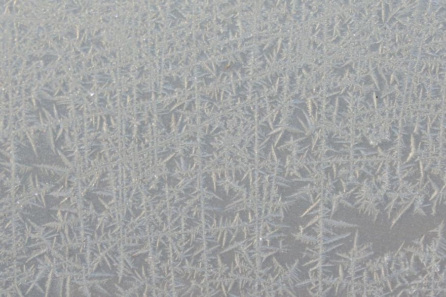Before Scraping The Frost Off My Car On These Chilly Mornings, I Like To Stop And Appreciate Jack Frost's Delicate Artistry