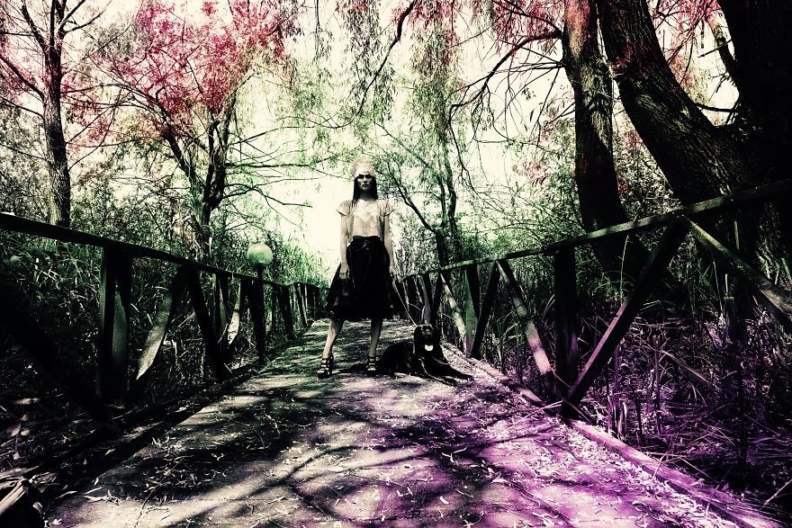 A Fusion Between Photography And Painting A Fusion Between Photography And Painting