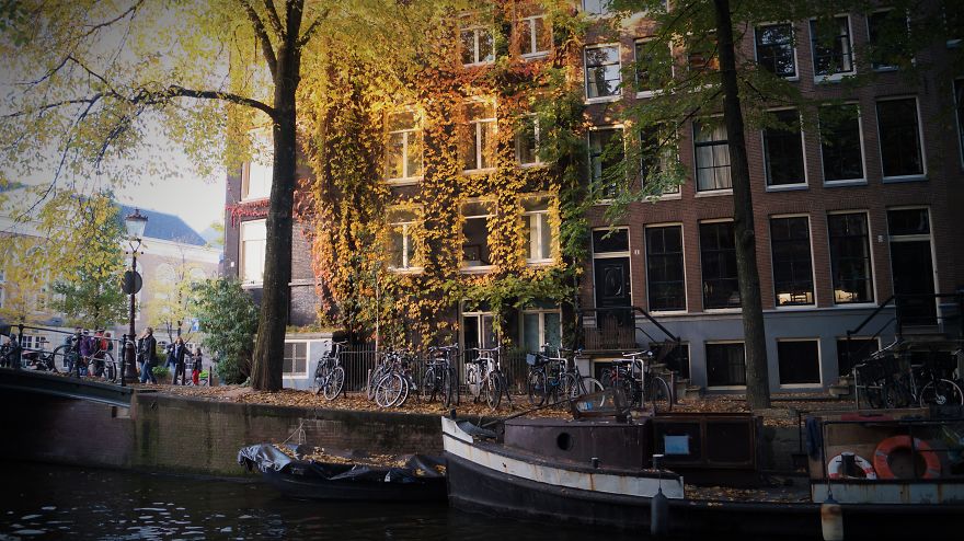 The Magic Of The Fall In Majestic Amsterdam