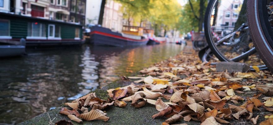 The Magic Of The Fall In Majestic Amsterdam