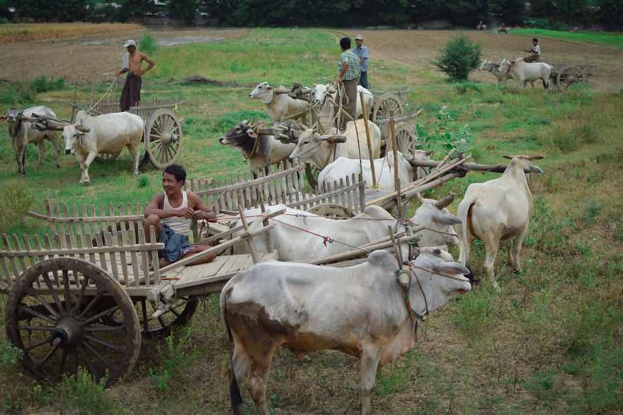 Into Myanmar: Happiness Is Within You Into Myanmar: Happiness Is Within You