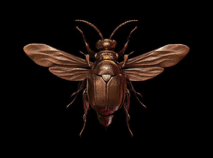 Engraved Entomology By Billelis