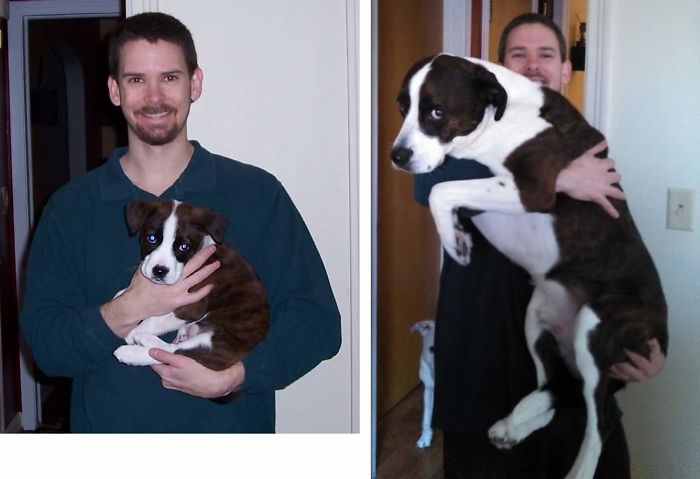 Bueller 7 Years Apart. He Became Camera Shy Through The Years.